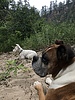 photo thumbnail #9