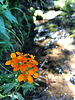 photo thumbnail #11