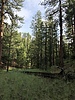 photo thumbnail #8