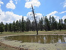 photo thumbnail #1