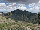 photo thumbnail #11