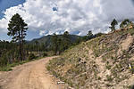 photo thumbnail #1