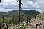 photo thumbnail #5