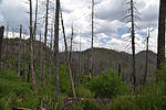 photo thumbnail #7