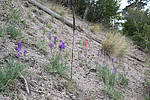 photo thumbnail #10