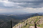 photo thumbnail #13