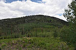 photo thumbnail #14