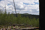 photo thumbnail #15