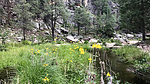 photo thumbnail #13