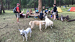 photo thumbnail #15
