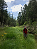2019-07-27 :1: East Miller AZT Loop :: chumley