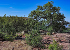 2019-07-21 :1: Murphy Peak - Sierra Ancha :: Oregon_Hiker