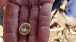 photo thumbnail #9