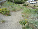 photo thumbnail #2