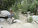 photo thumbnail #15