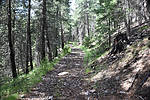 photo thumbnail #1