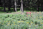 photo thumbnail #2