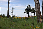 photo thumbnail #9