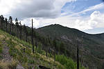 photo thumbnail #10