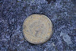 photo thumbnail #13