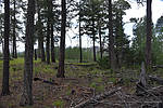 photo thumbnail #14
