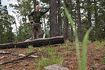photo thumbnail #15