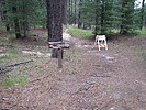 photo thumbnail #1