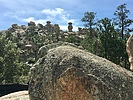 photo thumbnail #10