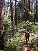 photo thumbnail #12
