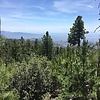 photo thumbnail #14