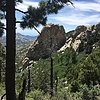 recent photo