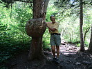 photo thumbnail #7