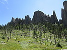 photo thumbnail #12
