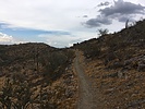 photo thumbnail #1