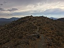 photo thumbnail #2