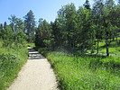 photo thumbnail #1