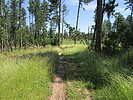 photo thumbnail #2