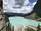 photo of comment