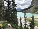 photo thumbnail #5