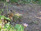 photo thumbnail #9