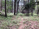 photo thumbnail #2