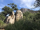 photo thumbnail #4