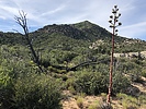 photo thumbnail #5