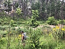 photo thumbnail #7