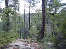 photo thumbnail #3