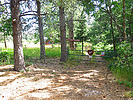 2019-07-22 :1: Reynolds Crk Tr RIM Loop - Sierra Ancha :: Grasshopper