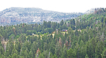 2019-07-22 :1: Reynolds Crk Tr RIM Loop - Sierra Ancha :: Grasshopper