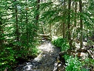 photo thumbnail #1
