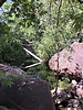 photo thumbnail #6