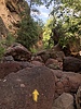 photo thumbnail #8